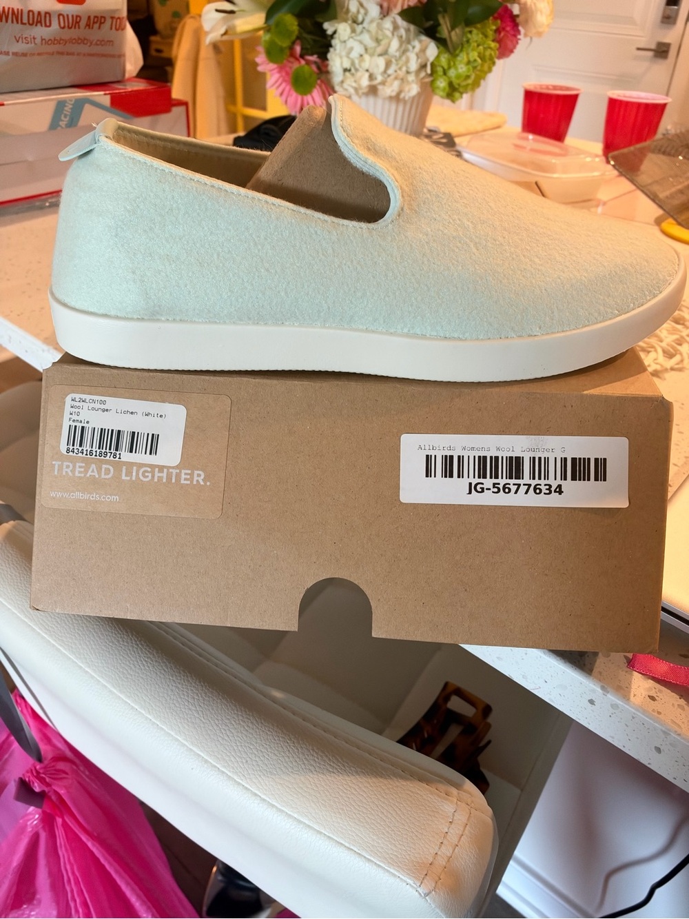 allbirds Slip-On Sneakers